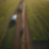 Aerial view of a sustainable farm showcasing diverse crops