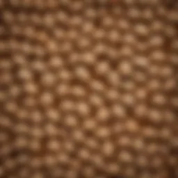Close-up of soybean seeds showcasing their texture and color