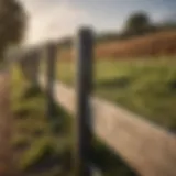 A close-up view of a well-maintained agricultural fence