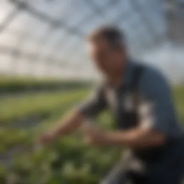 An expert demonstrating proper installation techniques for UV rated greenhouse plastic.