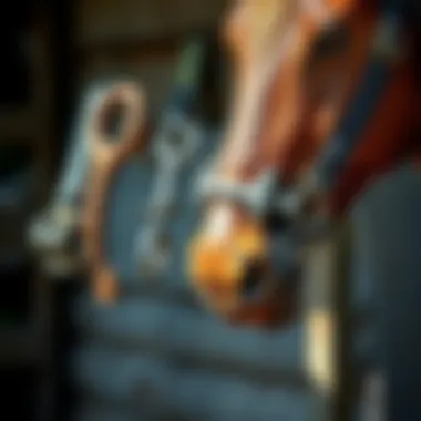 Different types of worming bits for horses displayed