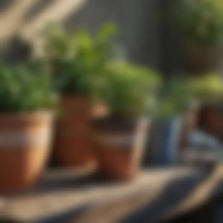 Close-up of vintage pots repurposed for plant growth