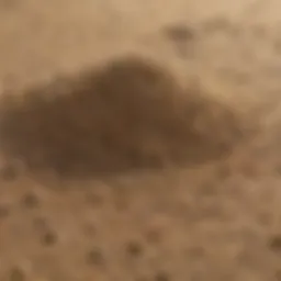 Close-up of different sand types suitable for lawn leveling