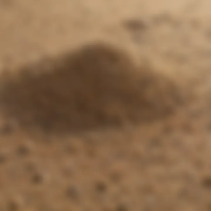 Close-up of different sand types suitable for lawn leveling