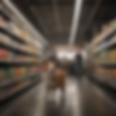 Illustration of technological advancements in pet supply retail