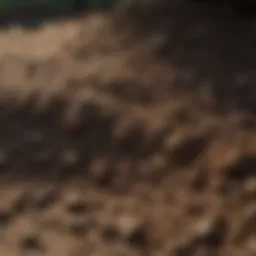 Quality dirt for backyard leveling